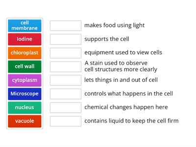 Cells Match Up