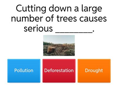 Environmental Issues Quiz