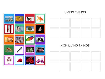 LIVING AND NON LIVING THINGS