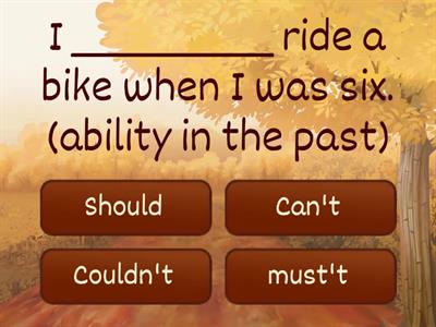 Modal verbs (must, can, could and should)