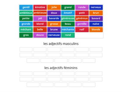 La description: adjectifs masculin/féminin