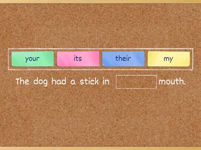 Pronoun & Antecedent Agreement 