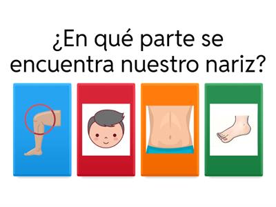 Partes externas del cuepo humano.