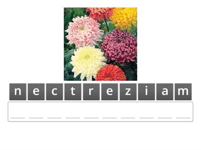 Formează cuvinte si propoziții!
