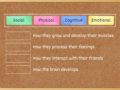Child Development Categories