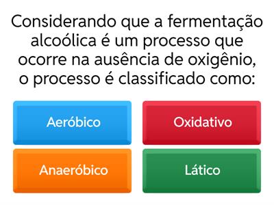 Fermentação Alcoólica 