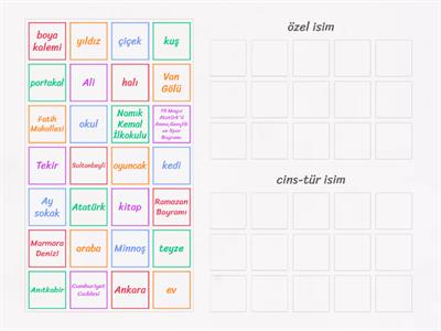 özel -cins isim