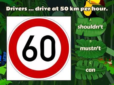 Modal Verbs: can - must - should