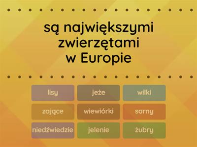 LEKSYKA Z KULTURĄ_WIEŚ I ZWIERZĘTA_ćw5c_s101