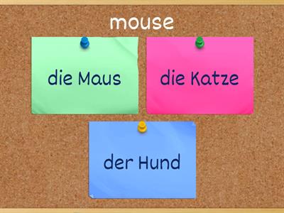 German cognates and false cognates