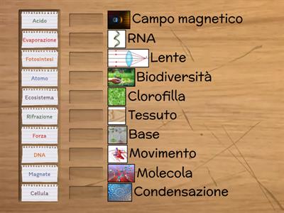 VERIFICA DI SCIENZE