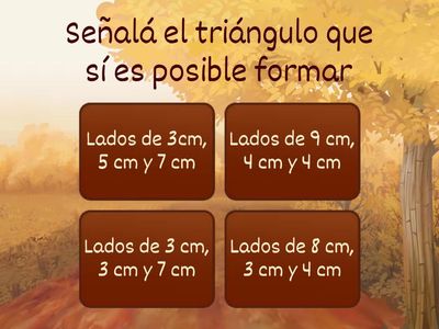 Triangulos Especiales