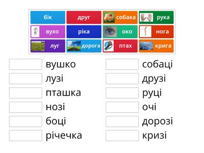 Чергування приголосних у коренях слів 