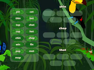 sh + th + ch Word Sort