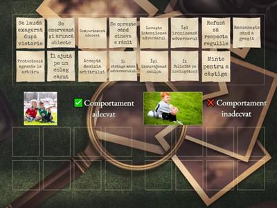 Joc corect: Comportamente adecvate / neadecvate în sport 