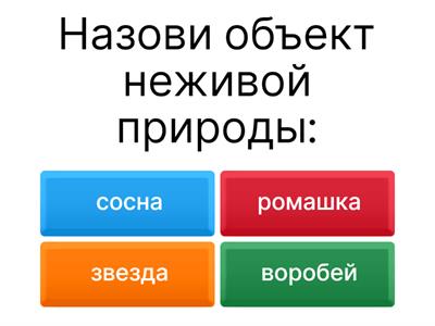 Окружающий мир 2 класс