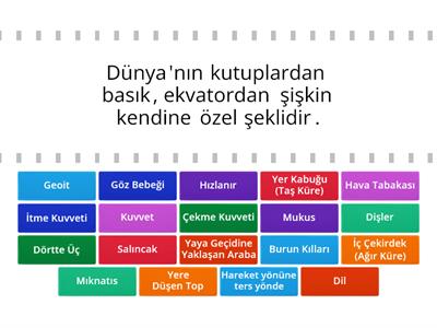 3. Sınıf Fen Bilimleri Tekrar