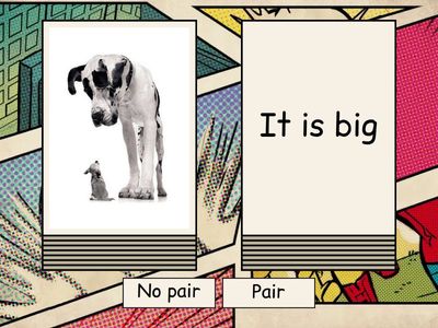 Adjectives pair/no pair
