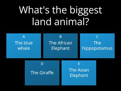 Comparative and Superlative Quiz