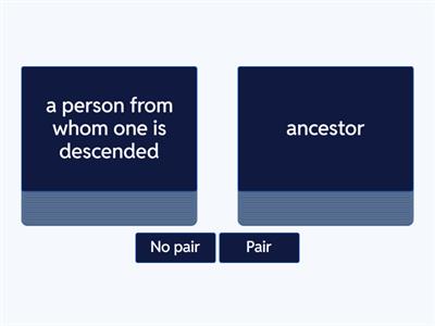   Wordly Wise 5 Lesson 3