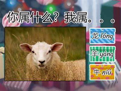 生肖 你属什么？