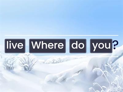 Word order in questions