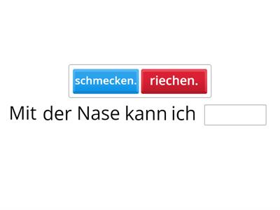 Sachunterricht Sinne