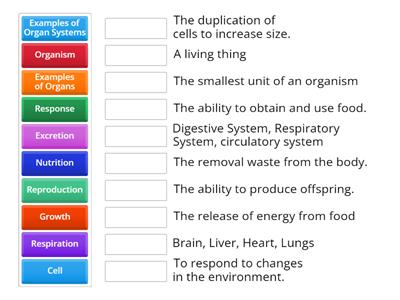 characteristics of Life 