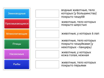 Разнообразие животных