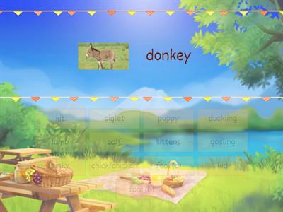 Adults and Baby Animals