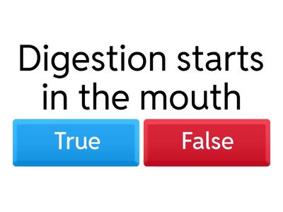 DIGESTIVE SYSTEM: TRUE OR FALSE