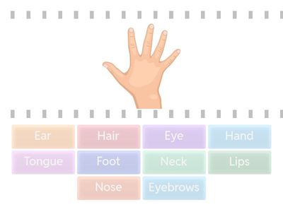 body parts bagian tubuh