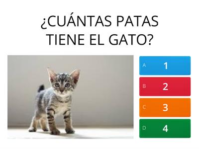 QUIZ ANIMALES