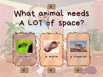 Science: Animal Needs