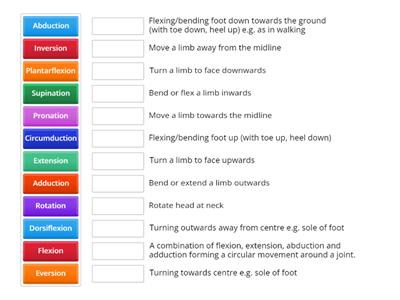 Types of Muscle Movement