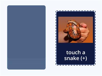 Present perfect 