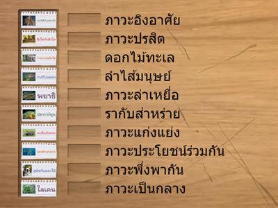 ความสัมพันธ์ระหว่างสิ่งมีชีวิตกับสิ่งมีชีวิต ป.5