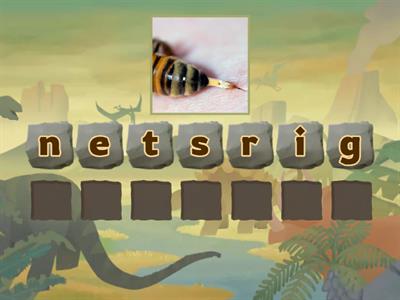 Jumbled Animal Parts Words