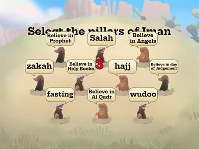 Pillars of Iman