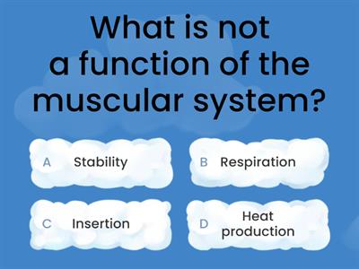 Muscular System Practice Quiz