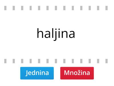 Jednina i množina imenica