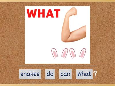 4. What can they do?