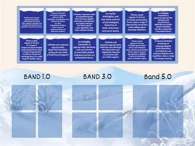 Step on the Scales B2 First Analytical scales 