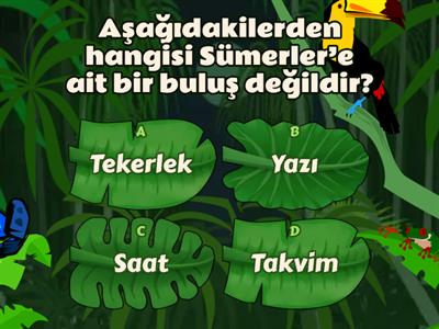 Sosyal Bilgiler 5. sınıf uygarlıklar 