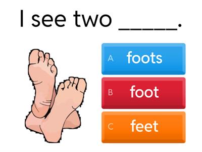 Irregular Plural Nouns