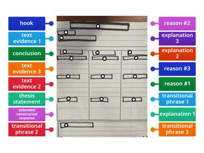 Label a blank ECR graphic organizer