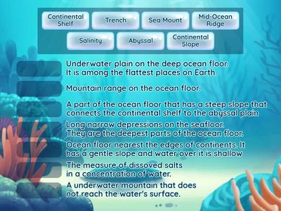 Ocean Floor Vocabulary