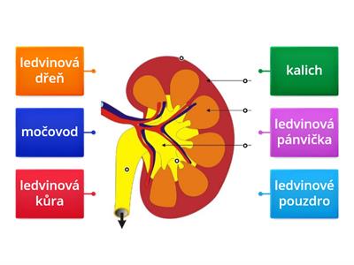 VYLUČOVACÍ SOUSTAVA-OBRÁZKY-STAVBA LEDVIN