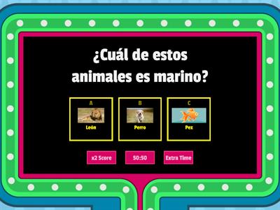 Animales Marinos 