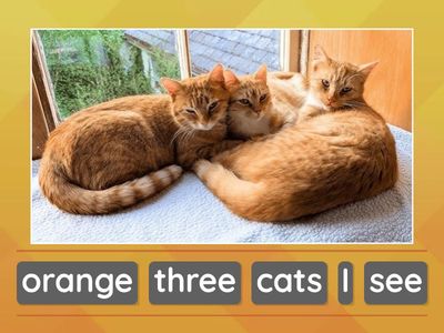 TEAMMS. B1. U8 - Farm Animals Sentence Pattern